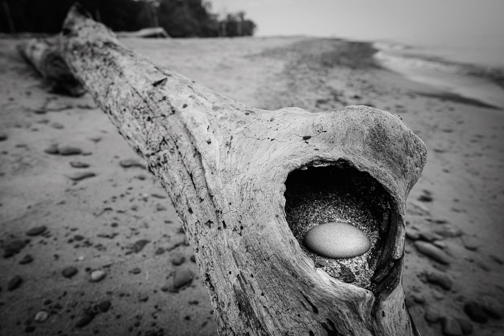 Untitled 2