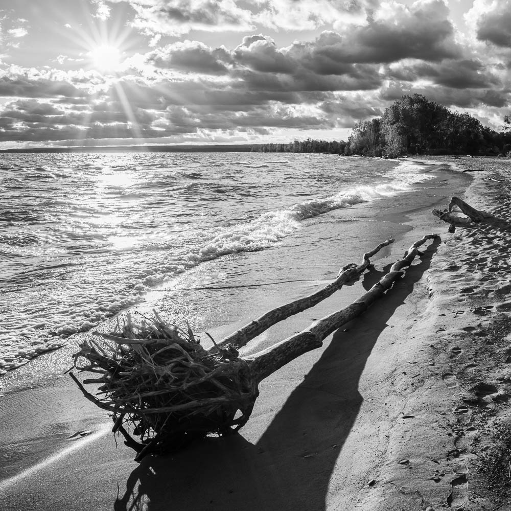 Deadwood Point