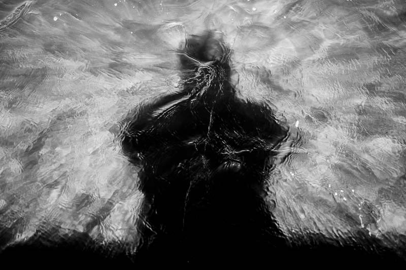 self shadow