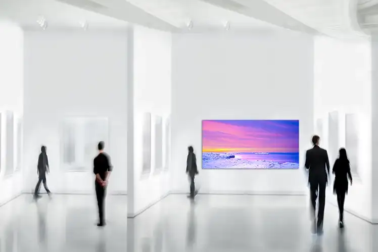 browsing gallery