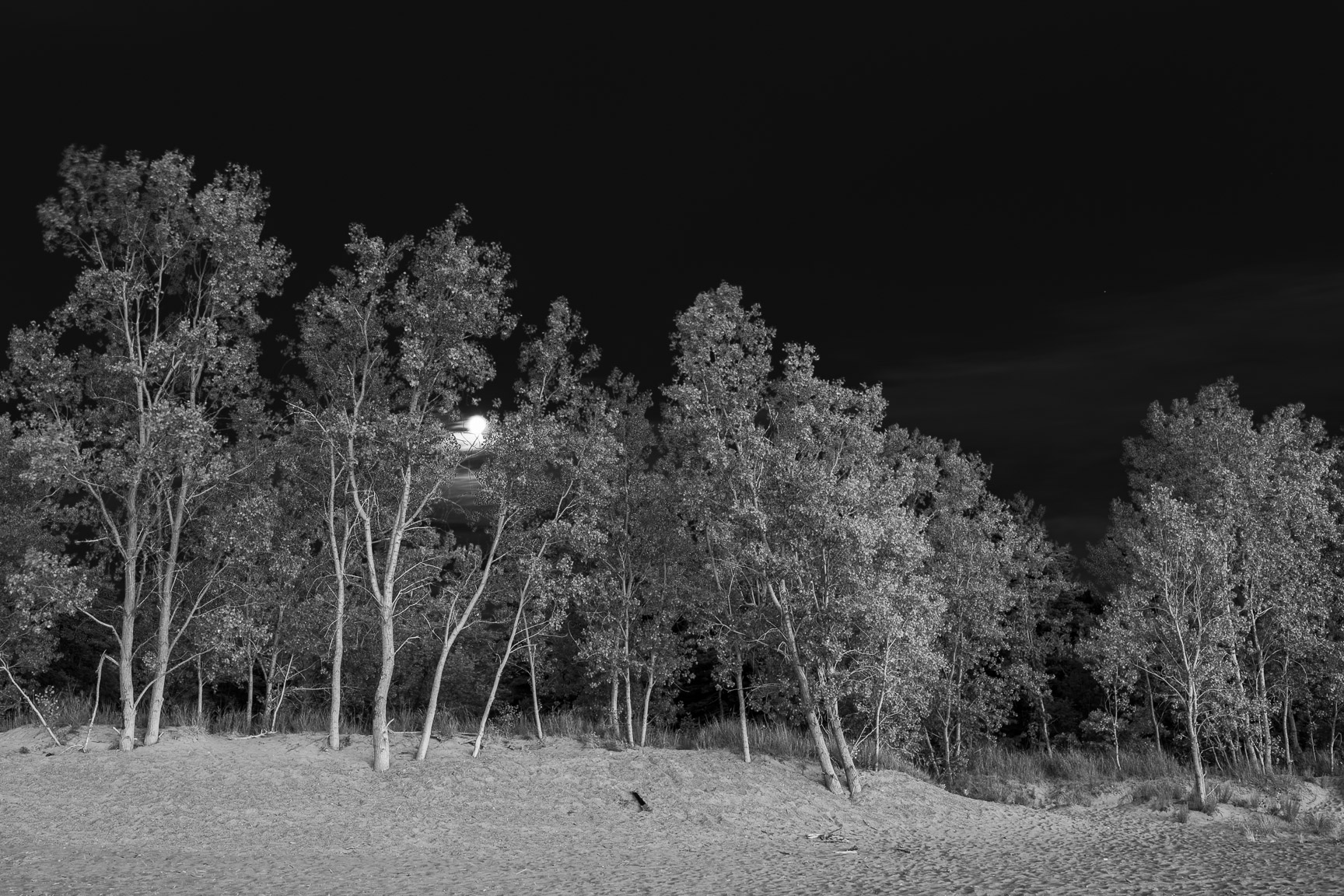 Moonrize, Presque Isle