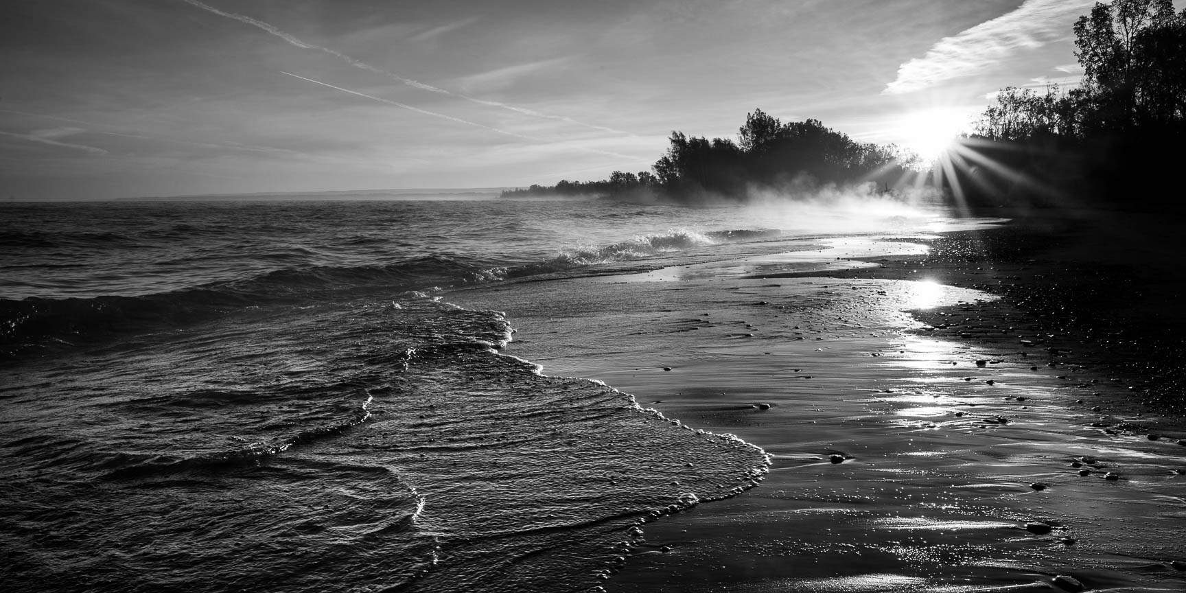 Dawn Reverie