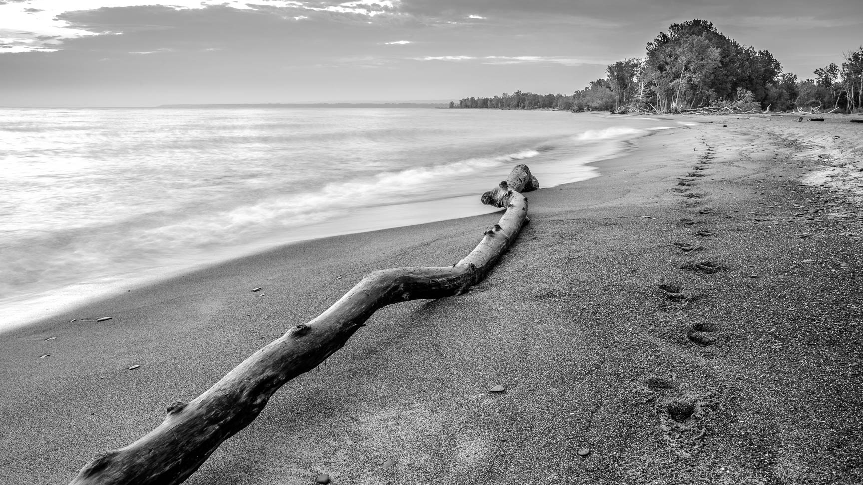 Shoreline Walk