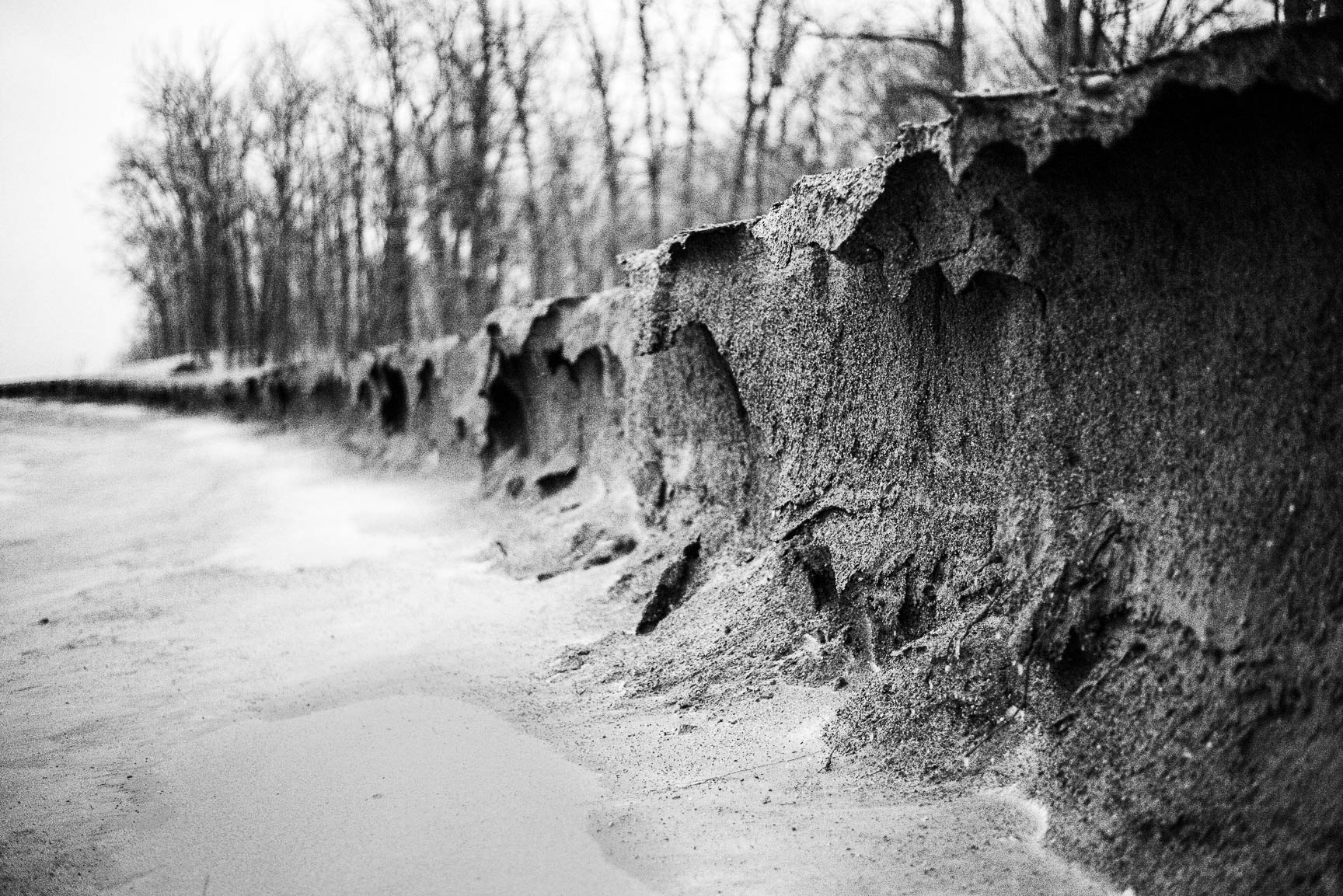 Gargoyle Shore