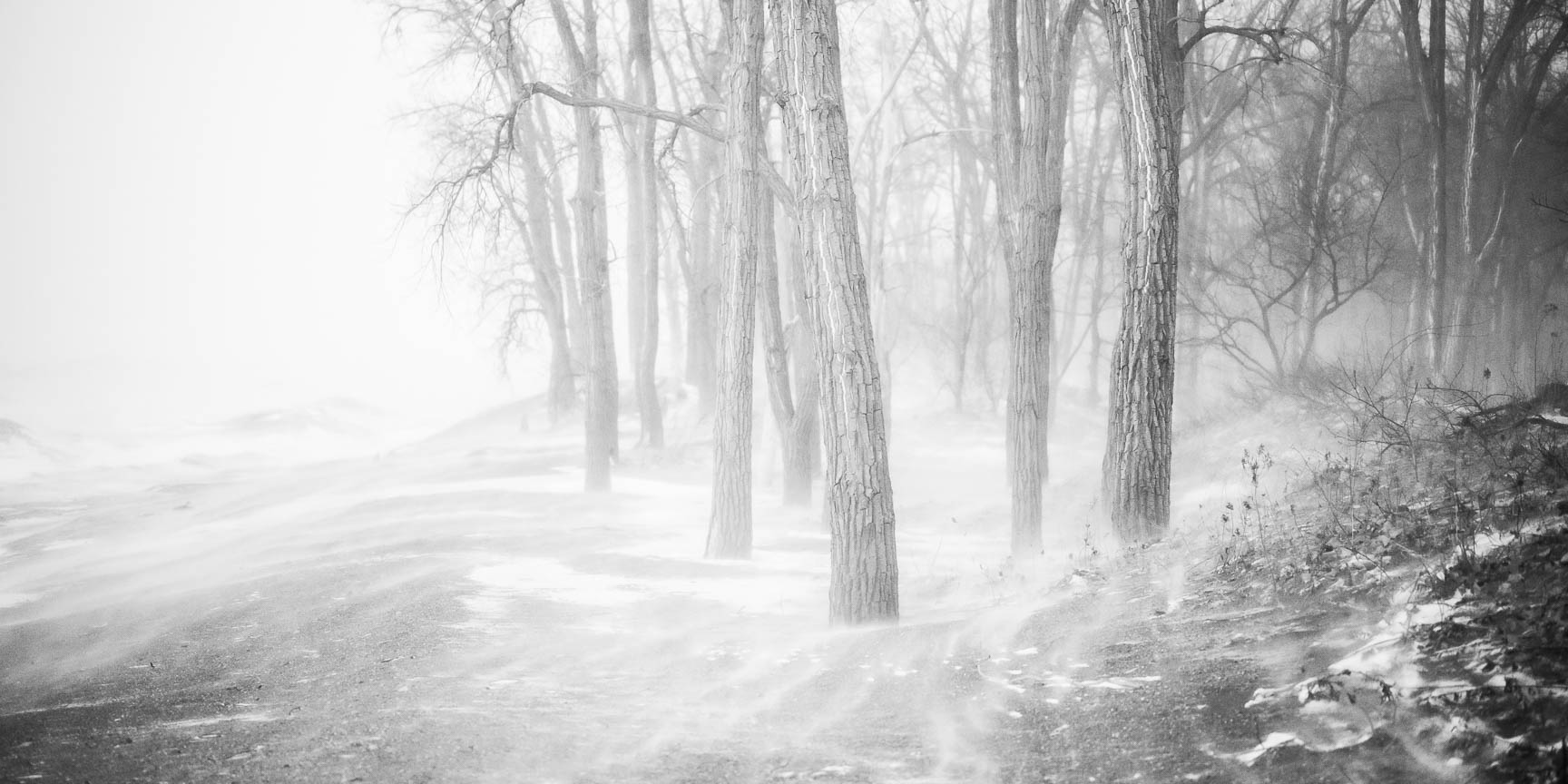 Ghost Of Winter