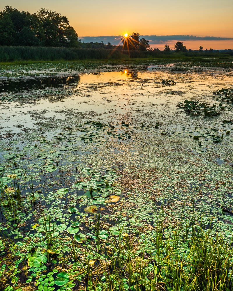 Long Pond Sunset