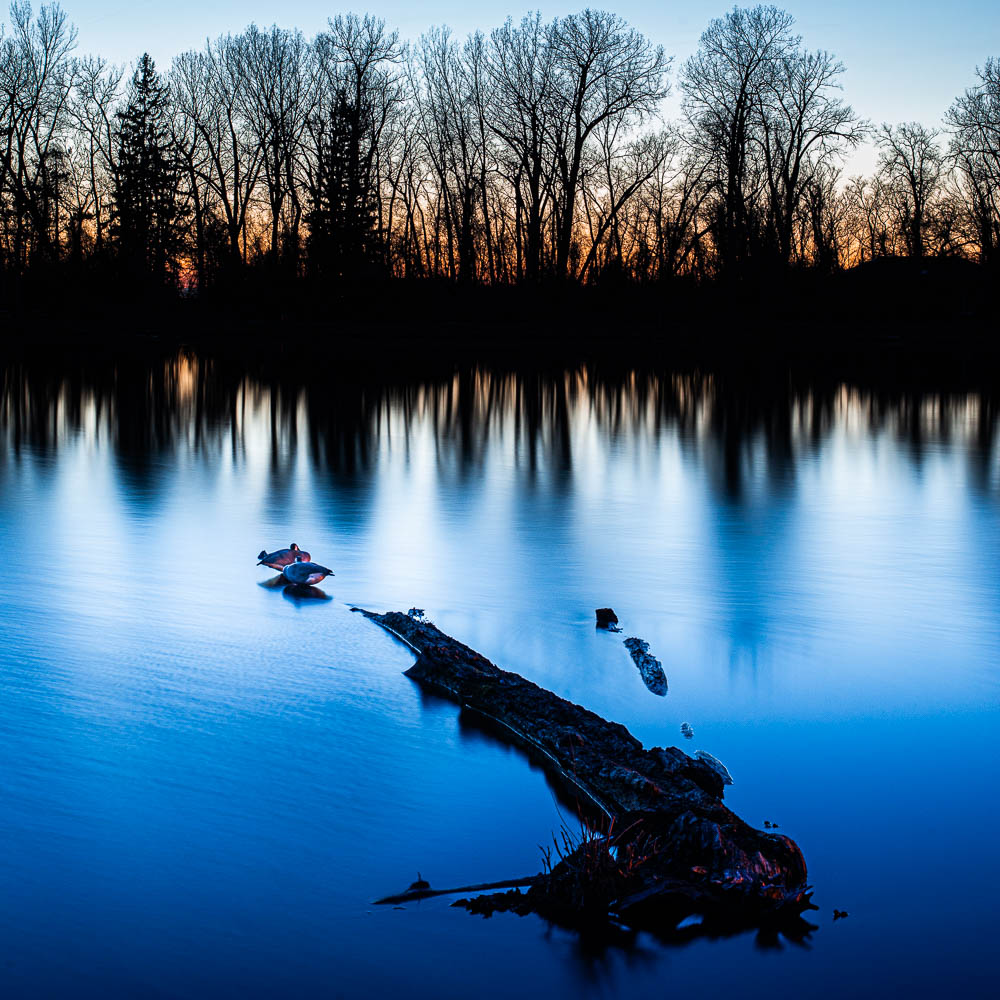 Presque Isle